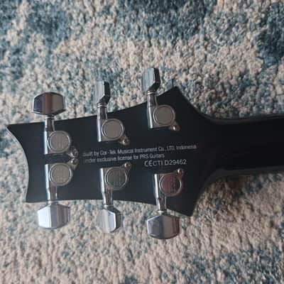 PRS SE Custom 24 Floyd image 5