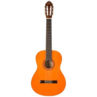 Washburn C5 Classical Nylon Guitar Natural