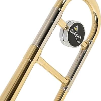 Antigua Vosi Bb Tbone Lacquer Finish Outfit With Case image 10