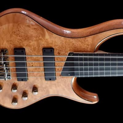 Kingston Z5 Ebonol Fretless - V2  - Natural Gloss image 4