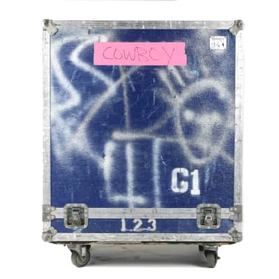 Mesa Boogie 4x12 Cabinet Owned by Deryck Whibley Of Sum 41 image 6