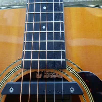 Ibanez V300 image 7