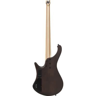Ibanez Bass Workshop EHB 600-WNF image 2