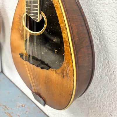 Weymann mandolin (mandolute) style 30 app. 1913 image 4
