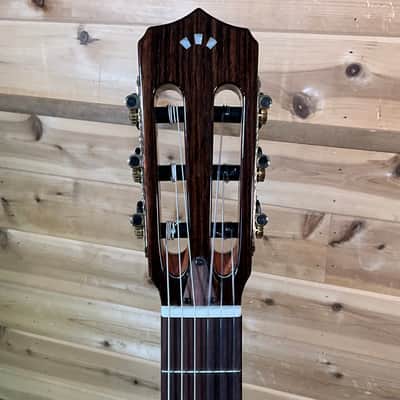 Cordoba Stage Nylon String Electric Guitar - Edge Burst image 3