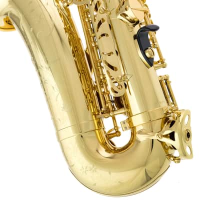 Selmer Alto Sax - Serie II in Gold Lacquer w/Engr image 17