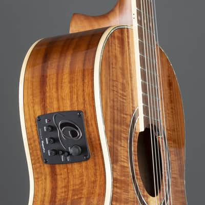 Ortega RE30TH-ACA 30th Anniversary - 4/4 classical guitar image 8