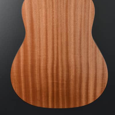 Taylor 117E imagen 5