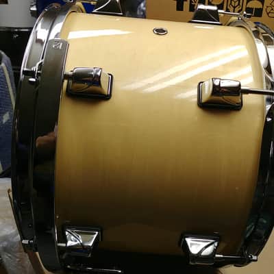 Taye Drums ProX 10x8.5 Rack Tom Natural Basswood Free Shipping image 3
