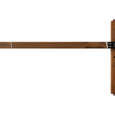 SOMA Laboratory DVINA Electro-Acoustic Stringed Instrument [DEMO] image 9