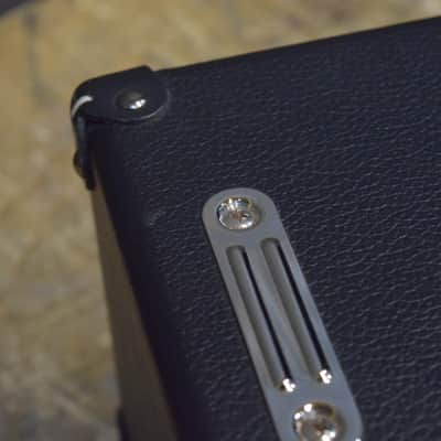 DV Mark DV Gen 15 Silver Generation 15-Watt Tube Guitar Amplifier Head #J9000074 image 17