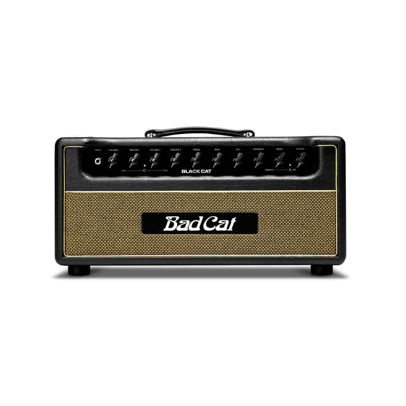 Bad Cat Black Cat Handwired Series 2-Channel 20-Watt Guitar Amp Head image 1
