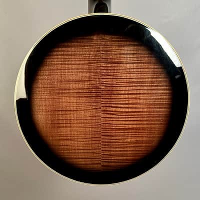 Gold Tone OB-250 5-String Banjo image 11