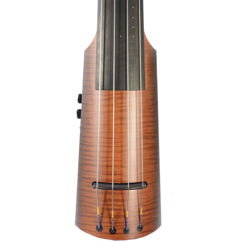 NS Design NXT4 Double Bass image 2