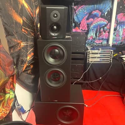Exigy Bespoke Studio Monitors Mid-00s image 6