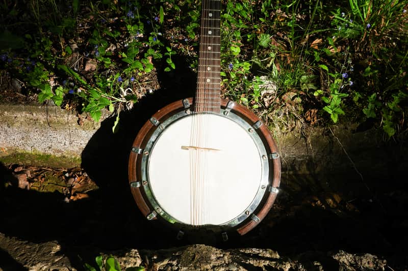 Mandolin Banjo image 1