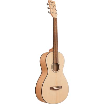 Ibanez PN2MD PN Acoustic Guitar - Open Pore Natural image 4