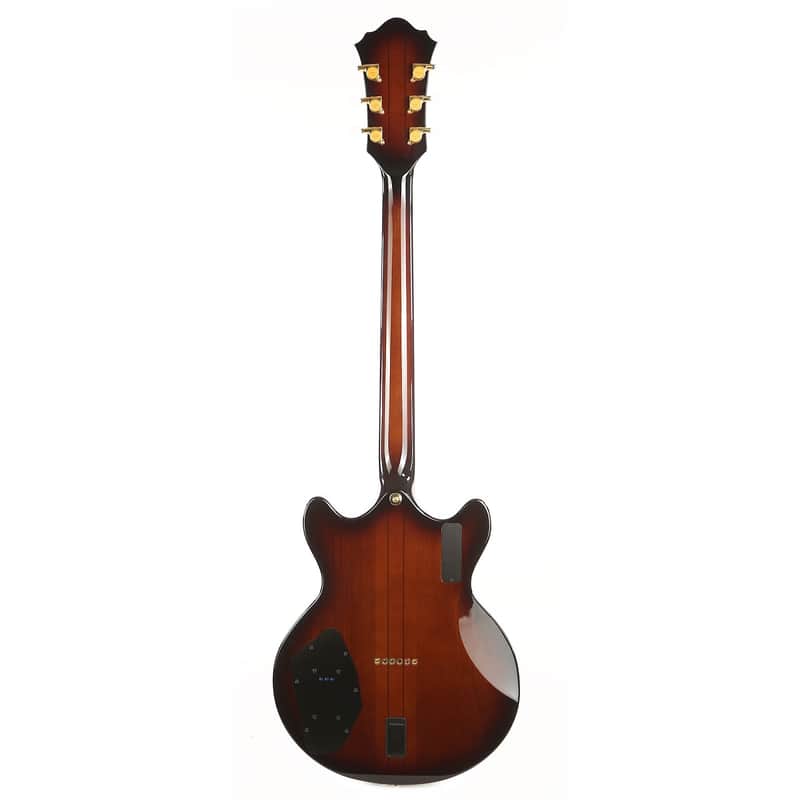 Ibanez BWM1 Bob Weir Signature Artist Reissue image 2
