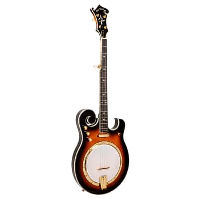 Gold Tone EBM-5 Electric Banjo image 7