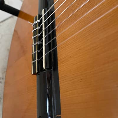 Rafael Morales Flamenco Guitar Blanca image 4
