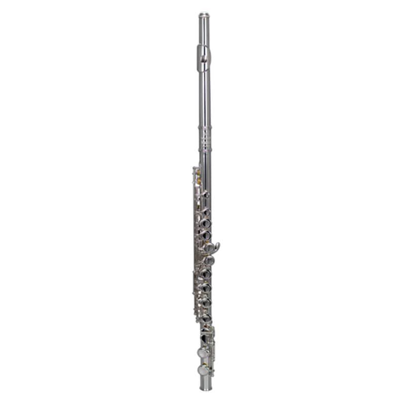 BAC Music Apprentice Flute | Closed Hole, Offset G, C-Foot image 1