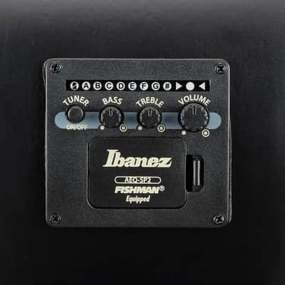 Ibanez AEG721 Grand Concert 7-String Acoustic-Electric Guitar, Spruce Top, Black Out image 10