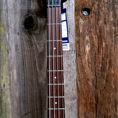 Ibanez SR300EDX-WZM Standard Soundgear Bass - Wine Red Frozen Matte image 11