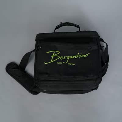 Bergantino Forte 800-Watt Bass Head image 3