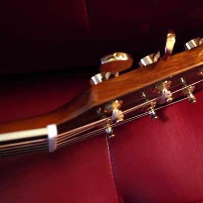 Fender CD320ASCE - Solid Spruce Top & Solid Mahogany Bk & Sides, w/Fishman Electronics image 5