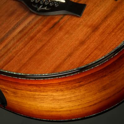 Taylor PS12ce 12-Fret - Honduran Rosewood/Sinker Redwood image 20