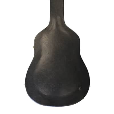 Hardshell Dreadnaught Acoustic Guitar Case image 1