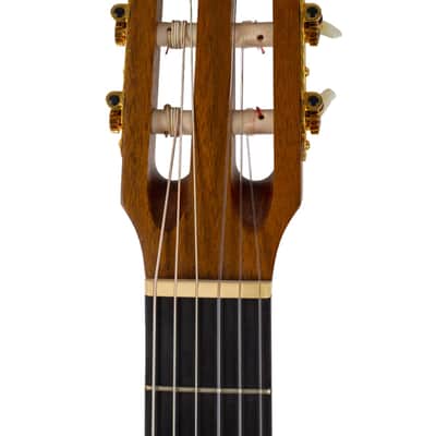 1996 Godin Multiac Duet Satin Natural with 1/4" & XLR Outputs image 5