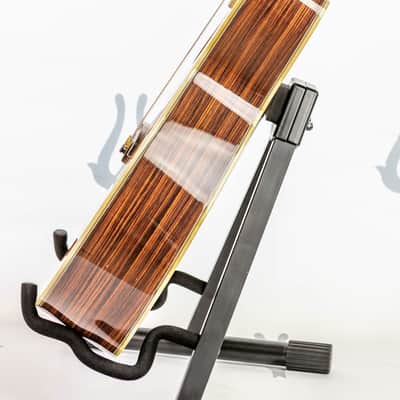 Daion Year Series '81 Gazelle / 12 String Electric Acoustic image 16