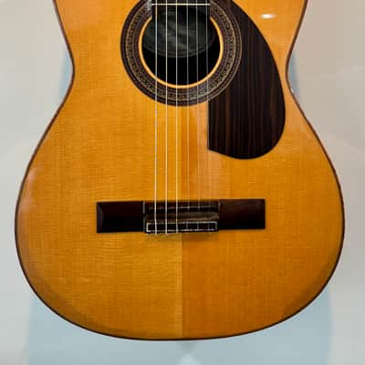 Buscarino Cabaret Custom Nylon String Classical Used (2014) image 2