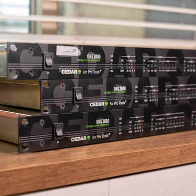 Cedar DNS 2000 Dialogue Noise Suppressor (DNS-2-02666) image 7