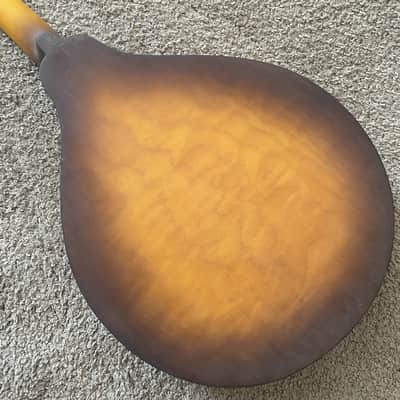 Honey Burst 8 String Mandolin Project, Spruce Top, Mahogany Body, Rosewood Fingerboard image 12