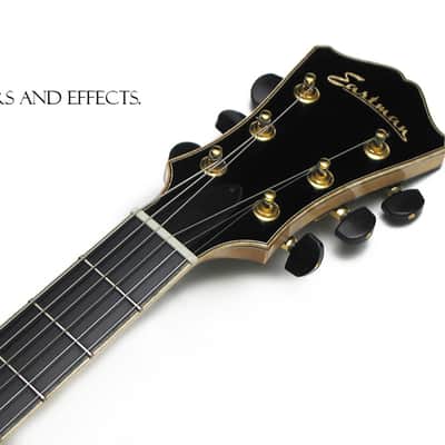 Eastman AR905CE BD Archtop AR-905-CE AR905-CE Archtop AR905 CE 2016 Natural Blonde image 4