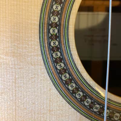 2022 Yulong Guo Hauser model / Spruce Top + HumiCase image 6