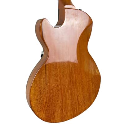 Gibson Les Paul Recording 1974-1975 - Walnut image 5
