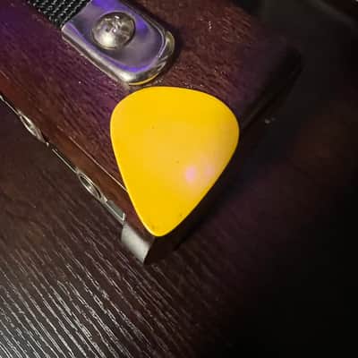 GEORGE TERRY OFFICIAL USED PICK (Clapton’s Rhythm guitarist) image 2