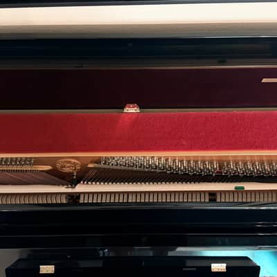 Pearl River UP115M5 Upright Piano 2014 - Ebony image 9
