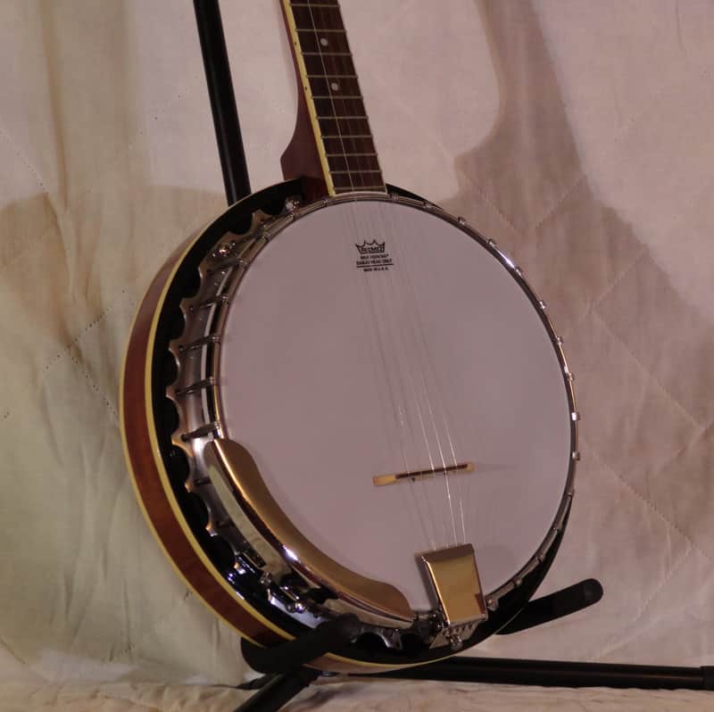 Washburn B9 Americana Series 5-String Banjo