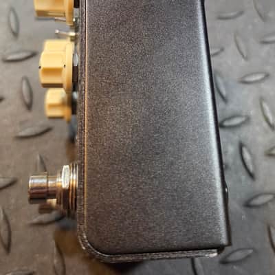 Strymon Flint Reverb and Tremolo V2 Black with White Knobs image 3