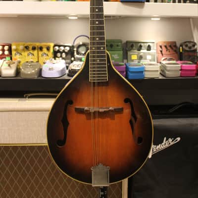 Palmer M-001 Mandolin Sunburst image 1
