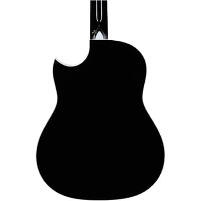 Taylor 657ce Bajo Quinto Grand Pacific Acoustic-Electric Guitar, 10-String (with Case), Black image 5