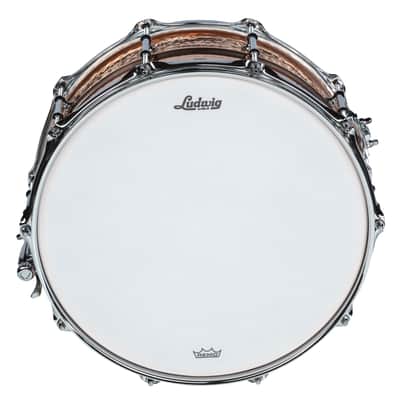 Ludwig LC662KT Hammered Copper Phonic Snare 14"x6,5 - Snare Drum image 2