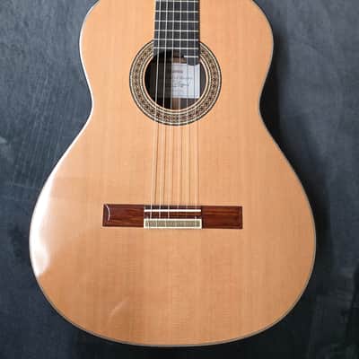 Alhambra Mengual y Margarit Serie NT classical guitar image 1