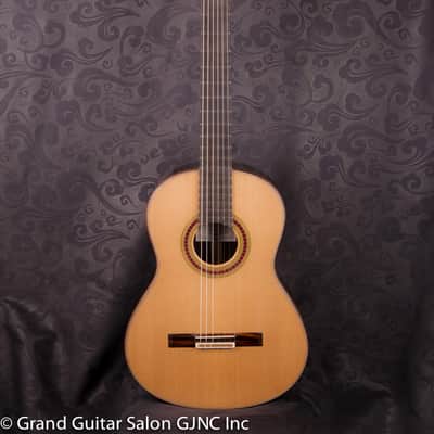 Otto Vowinkel 1A Concert Guitar , Cedar/Brazilian rosewood B & Sides image 1
