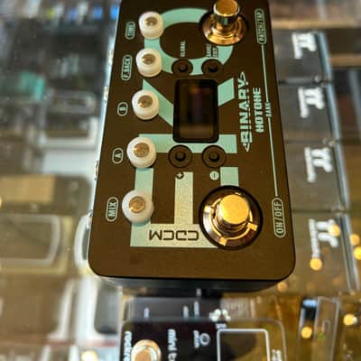 Hotone Binary Eko Delay 2022- Black/Blue image 6
