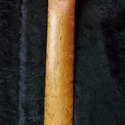 Kiesel Delos 2019 image 8